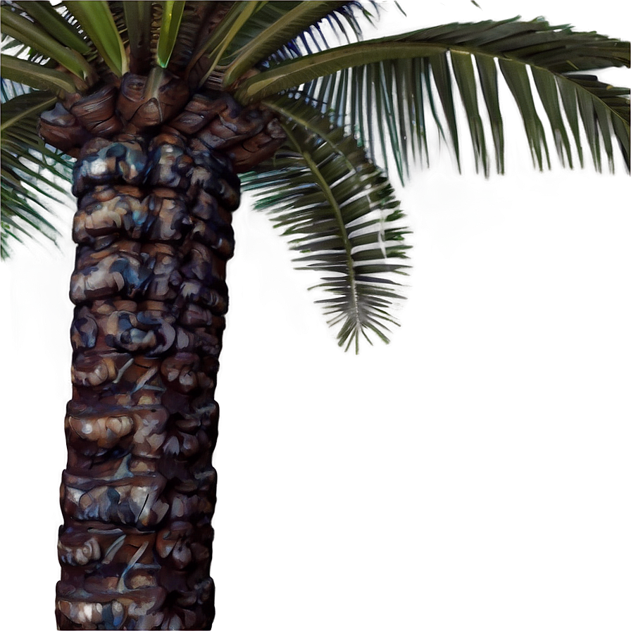 Palm Tree Vacation Png 88 PNG