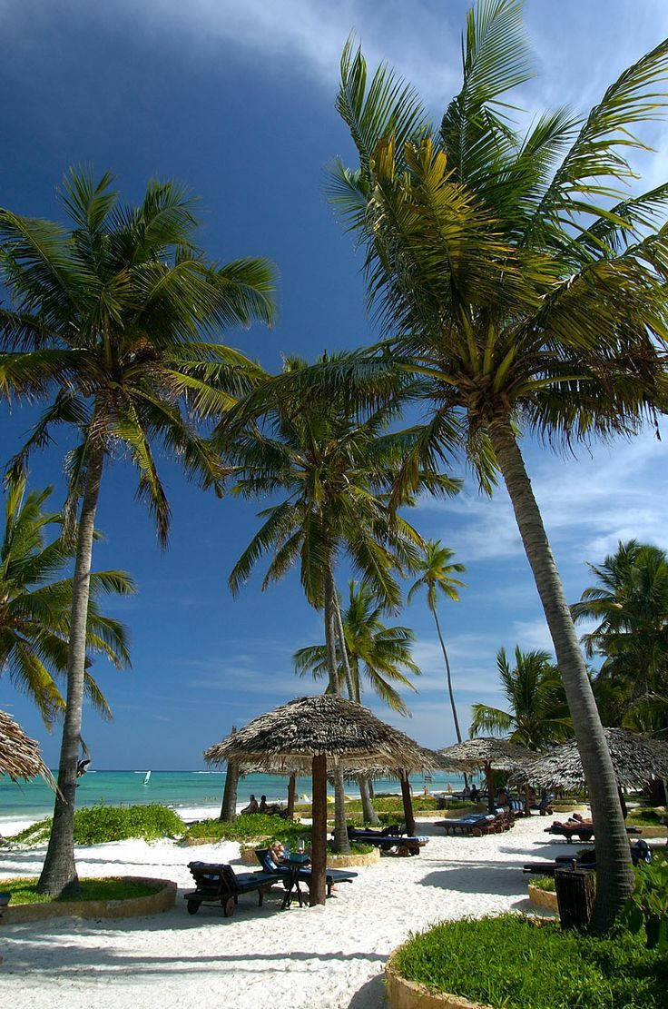 Majestic Palm Trees in Madagascar Wallpaper
