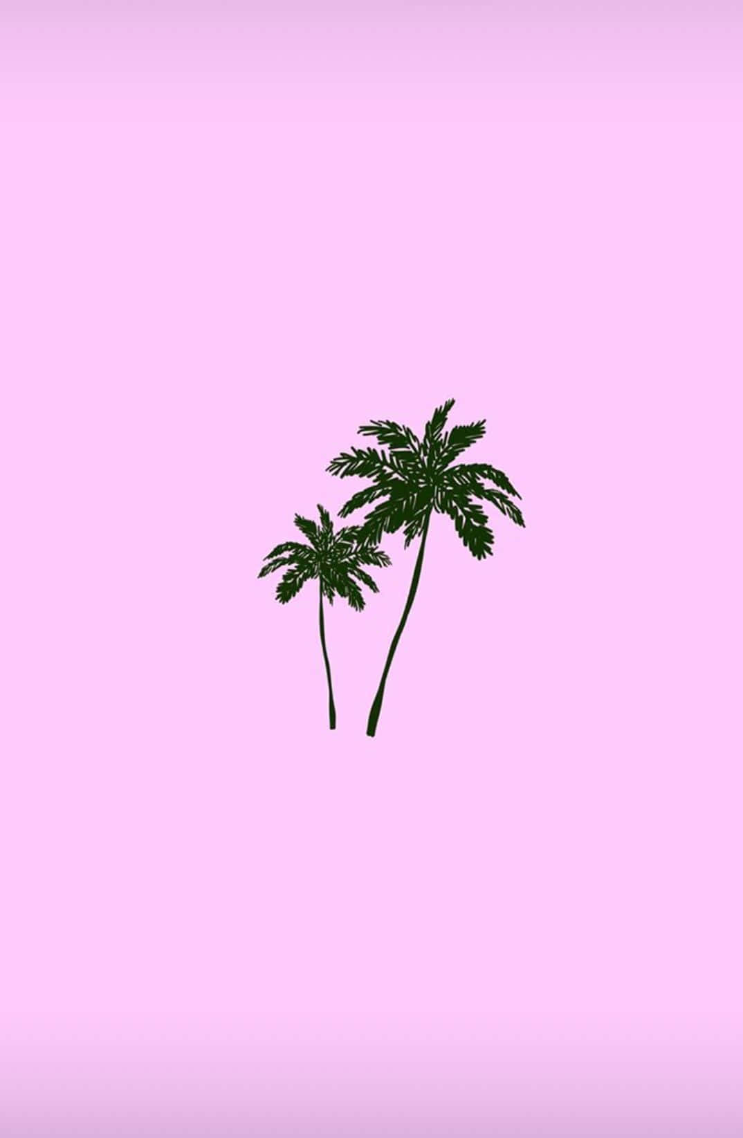 Palm Trees Background 1074 X 1646