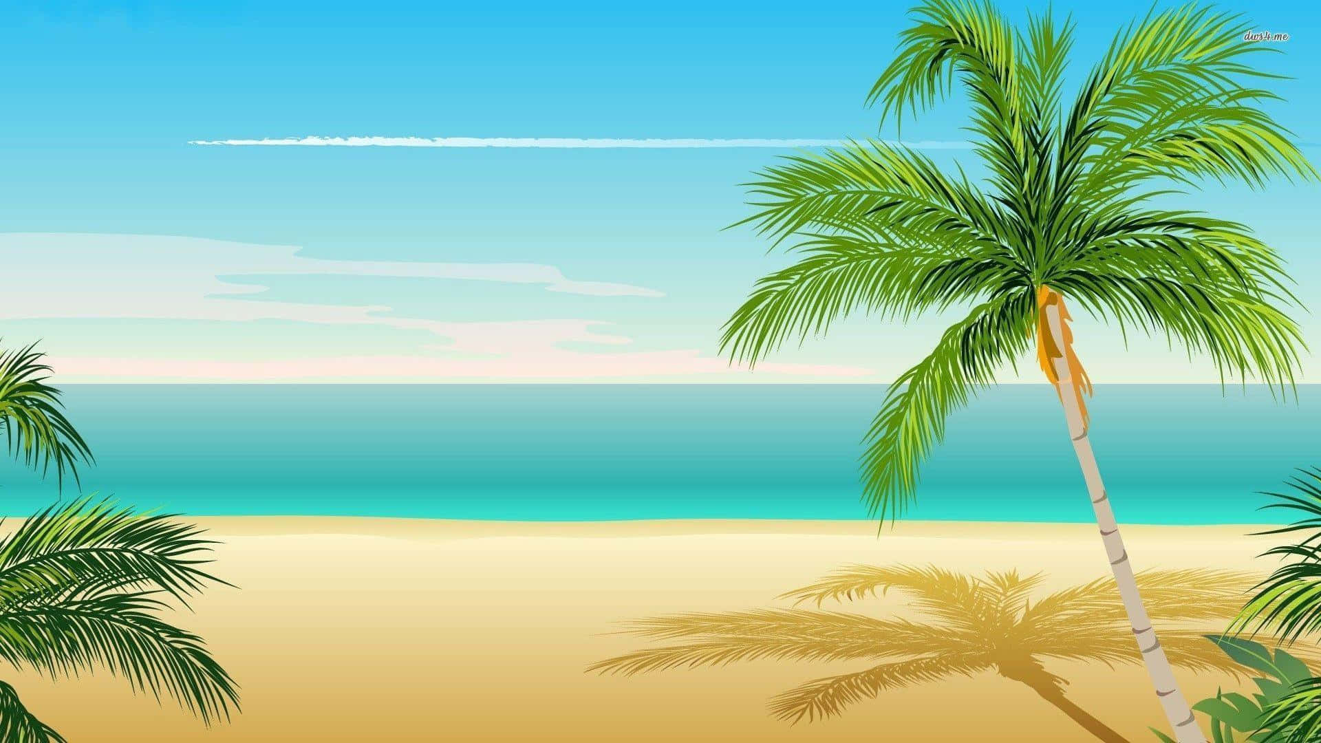 Palm Trees Background 1920 X 1080