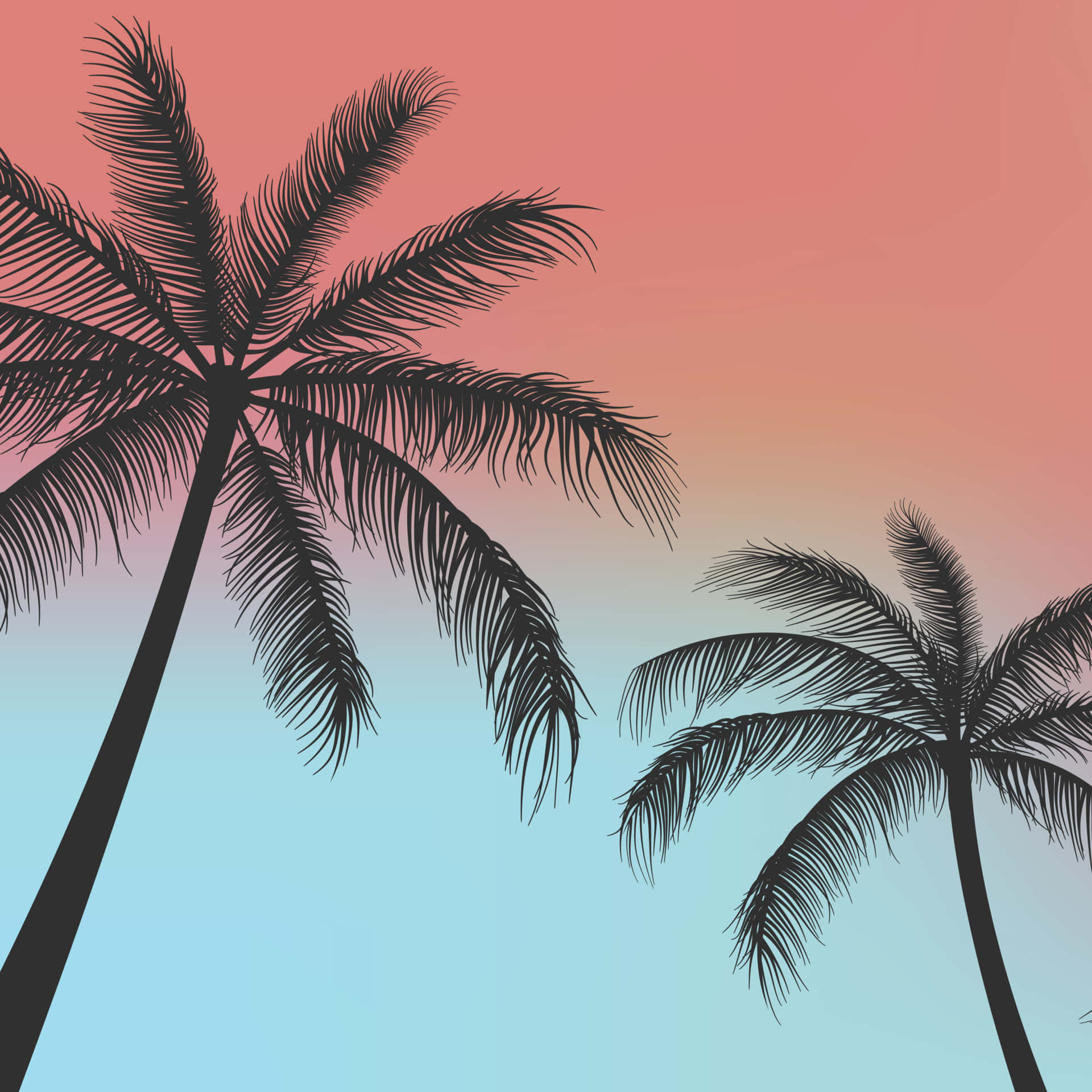 Palm Trees Background 1920 X 1920