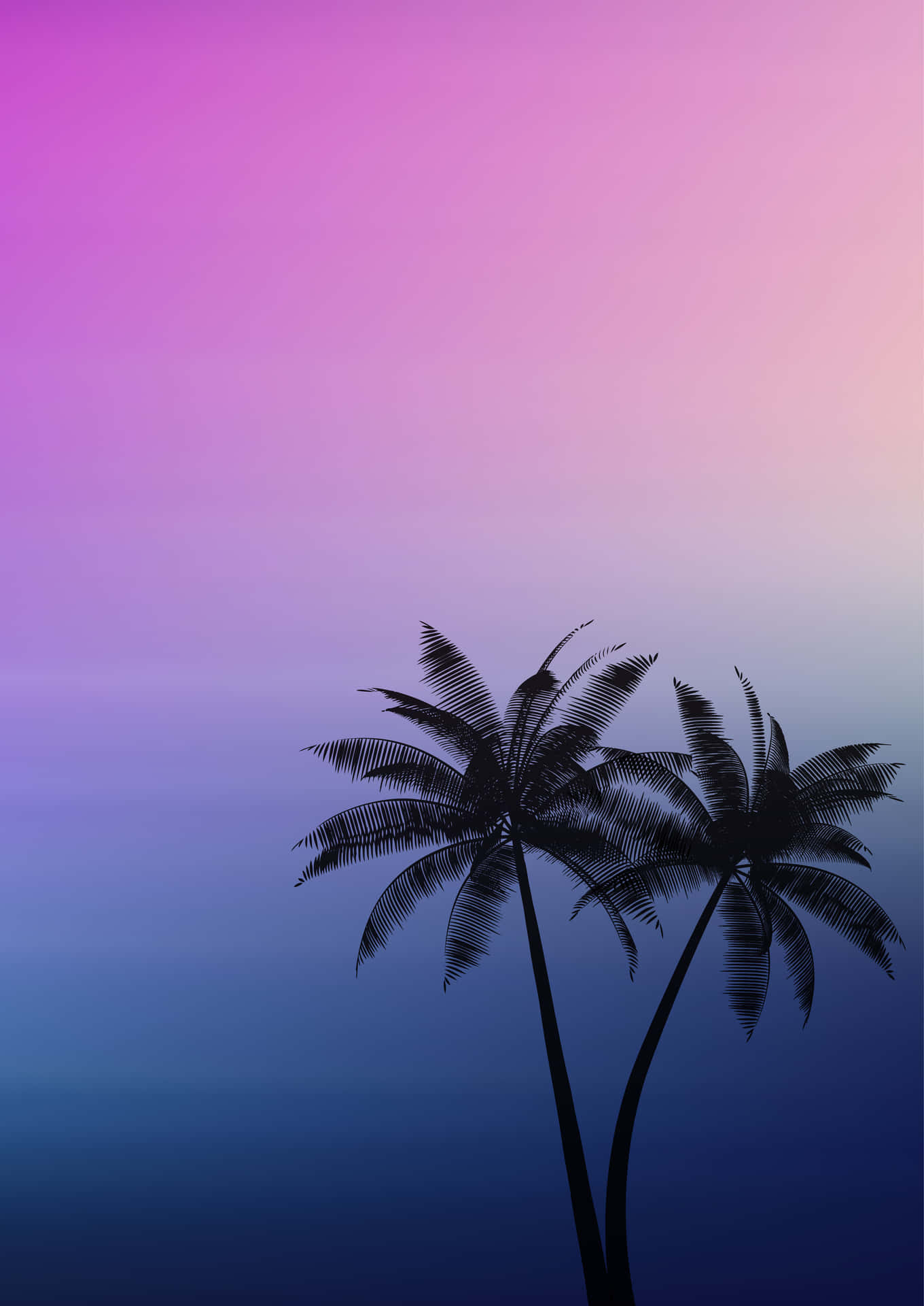 Palm Trees Background 3542 X 5000