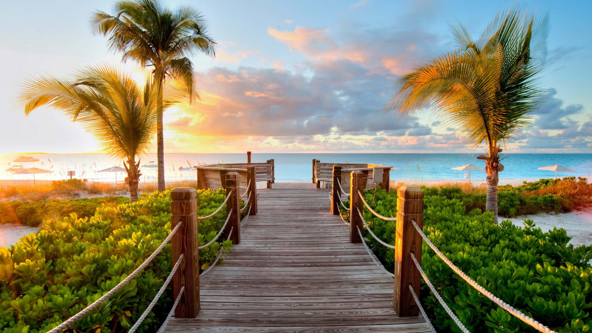 Palm Trees Beach Boardwalk Sunset View Wallpaper