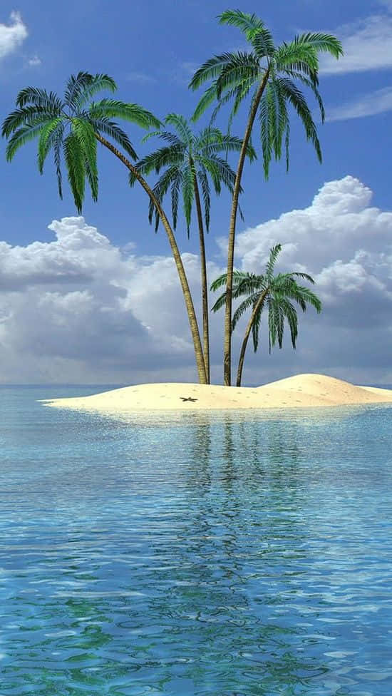 A Palm Tree Island With Water And Clouds