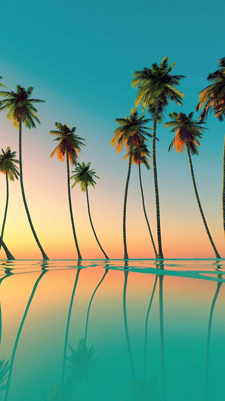 Feel the tranquility of the sea and sand while surrounded by stunning palm trees.