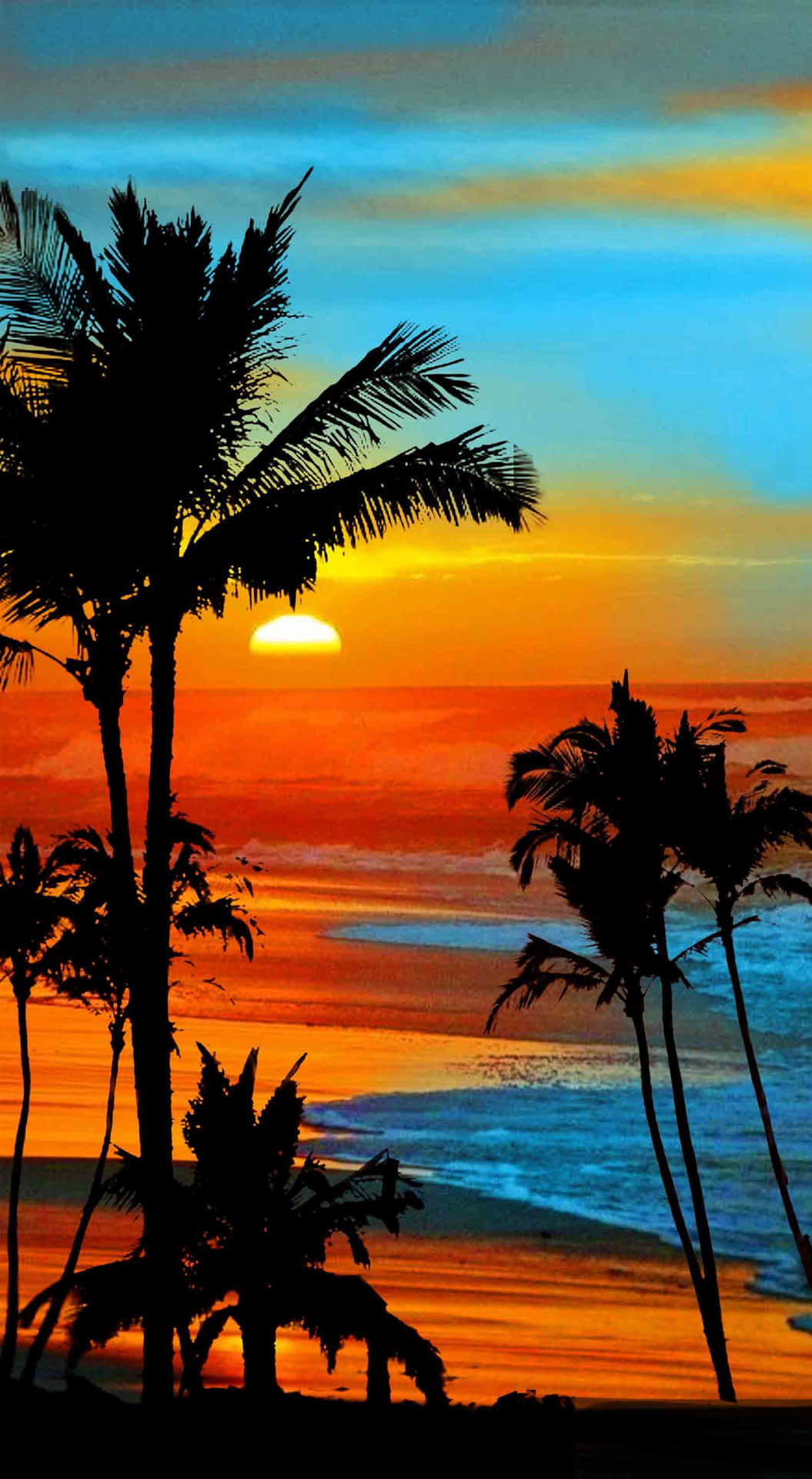Enjoying the Sunset at Palm Trees Beach