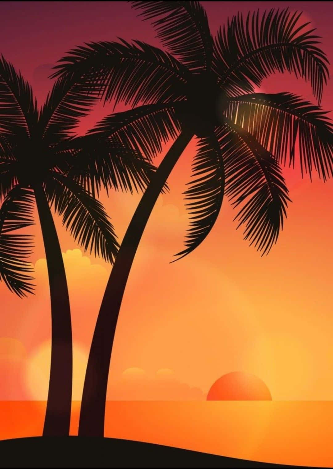 [100+] Palm Trees Beach Pictures | Wallpapers.com