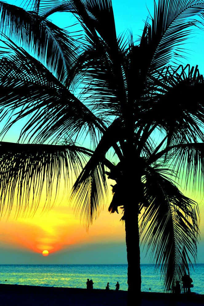 A colorful beach scene; sun setting behind palm trees