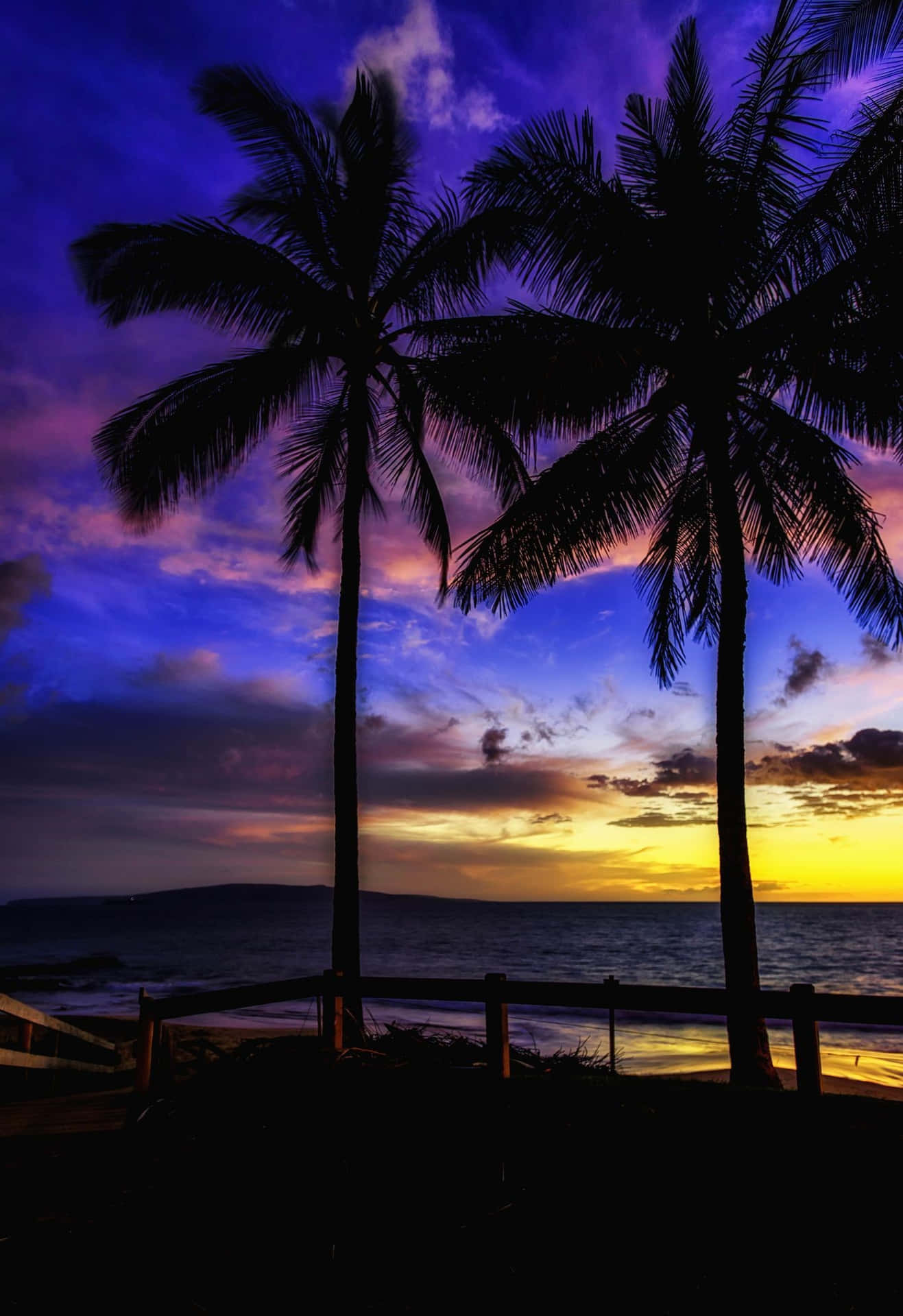 A Sunset With Palm Trees In The Background