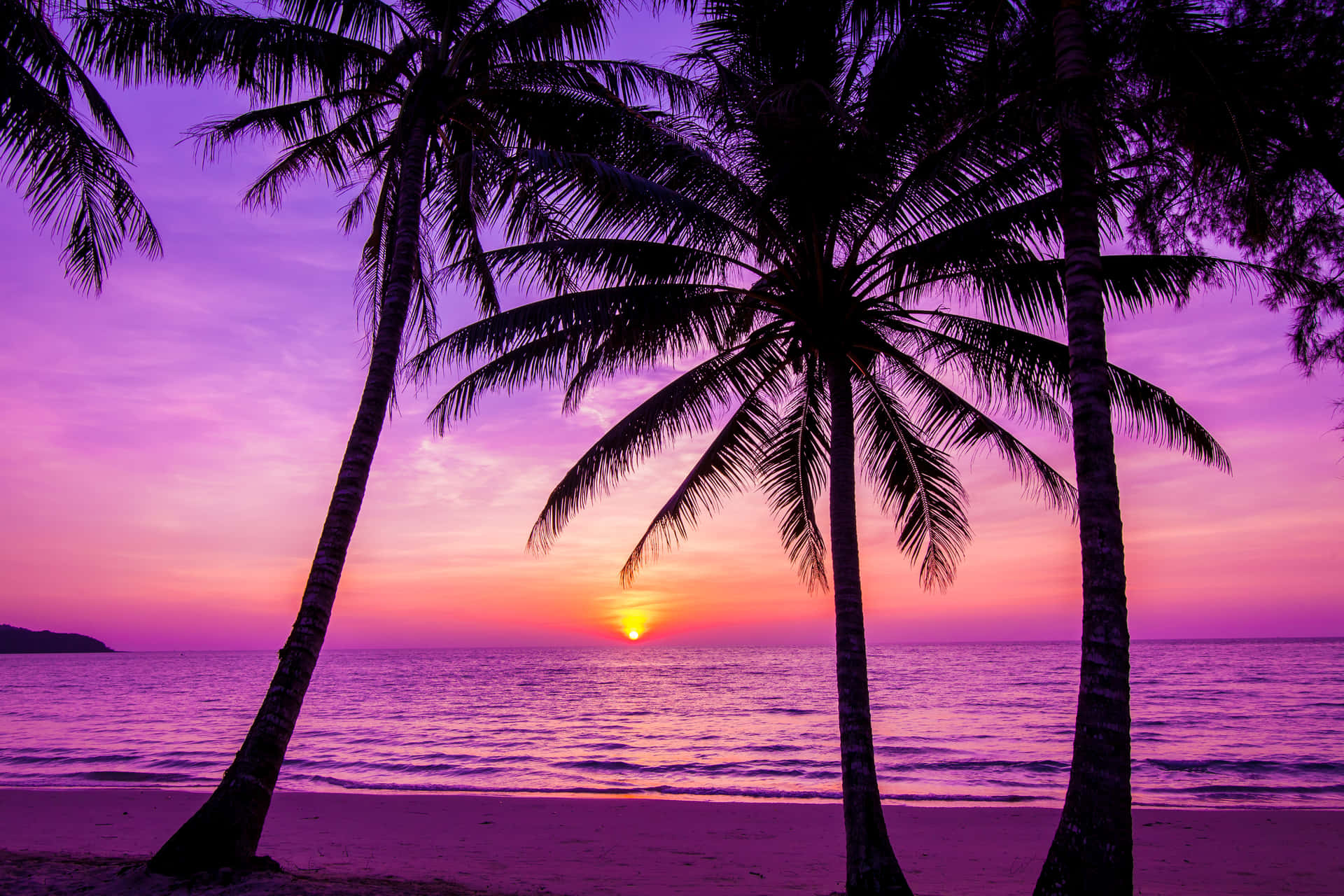 Palm Trees Beach Purple Sunset Silhouette Wallpaper