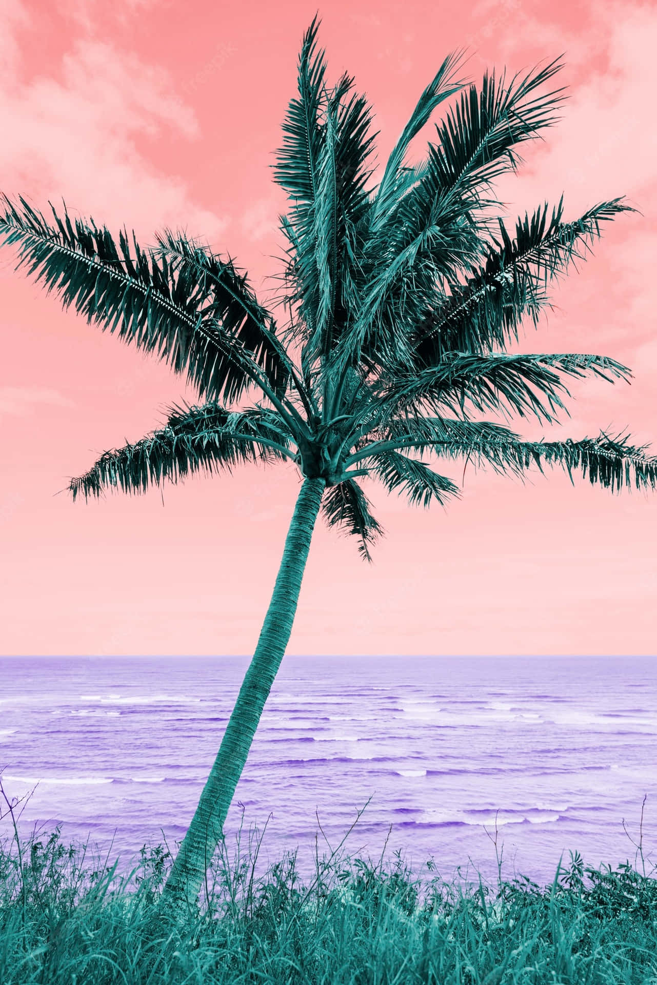 Palm Trees Beach Retro Landscape Vaporwave Wallpaper