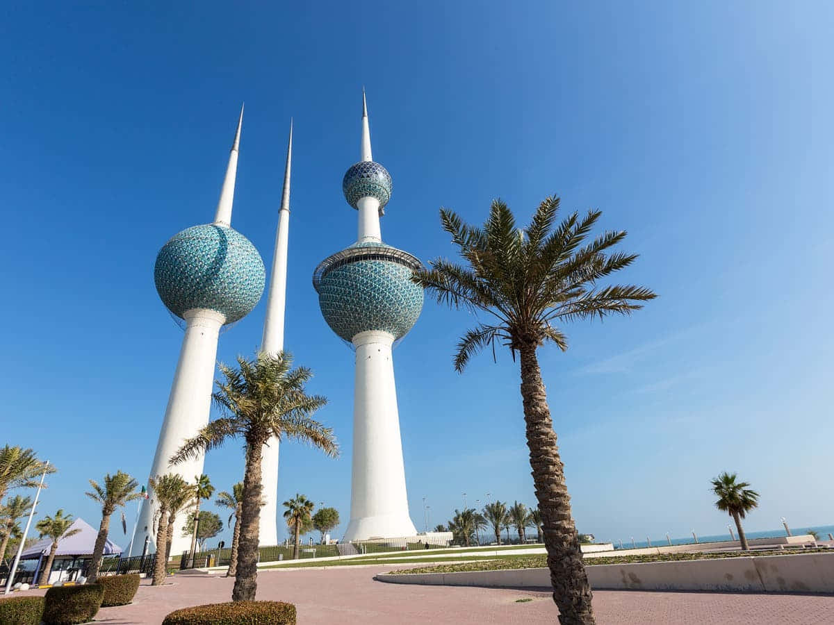 Palmerasdebajo De Las Torres De Kuwait Fondo de pantalla