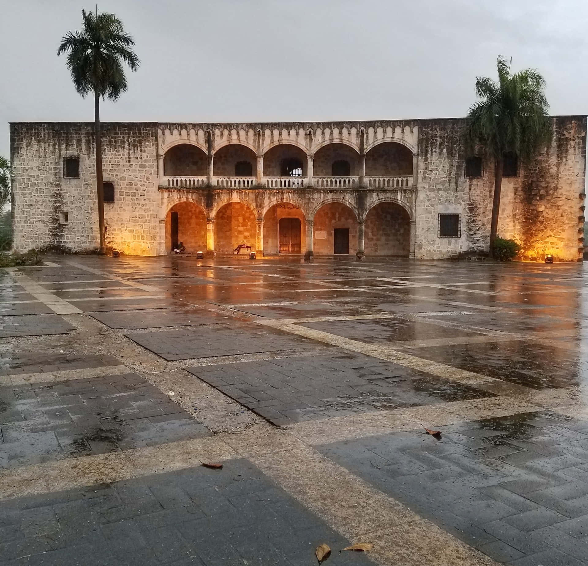 Palmerasjunto Al Alcázar De Colón Fondo de pantalla