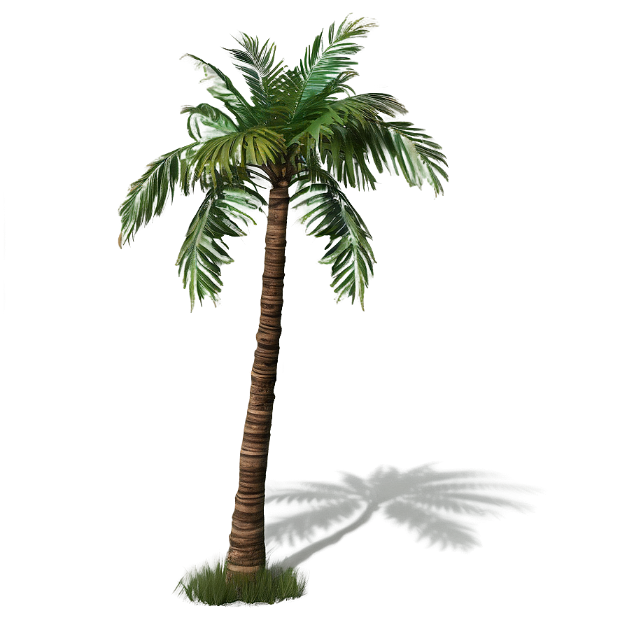 Download Palm Trees D | Wallpapers.com