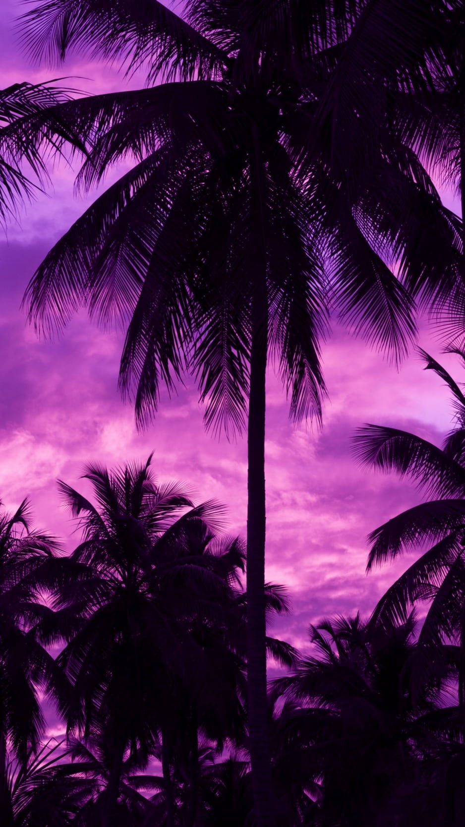 Palm Trees Dark Purple iPhone Wallpaper