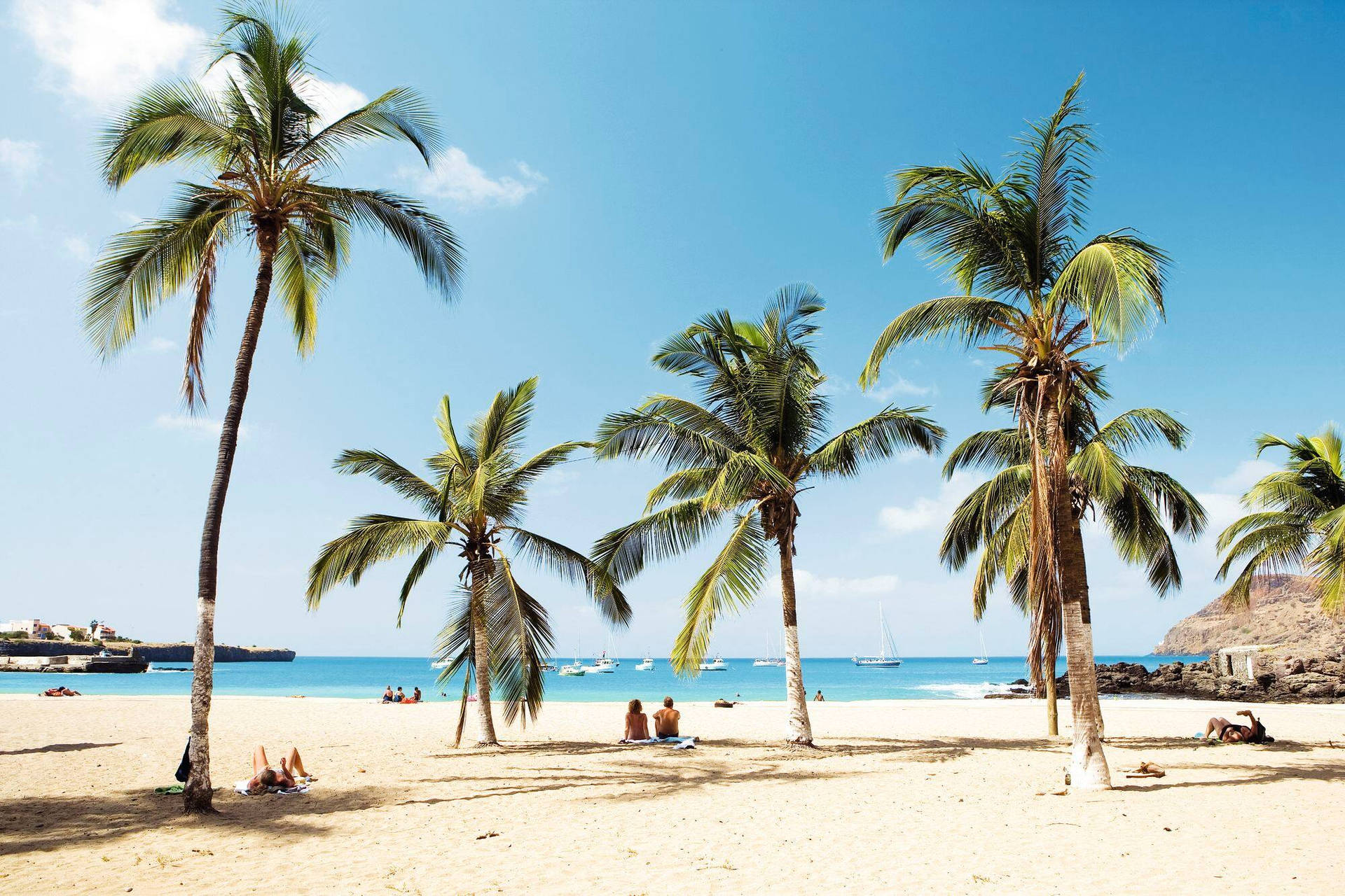 Palm Trees In Cape Verde Beach Wallpaper