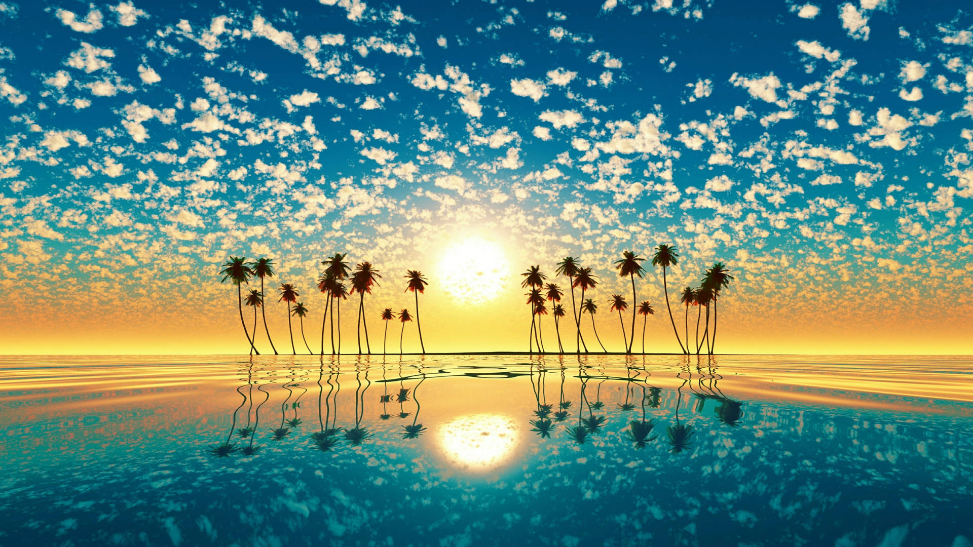 Palmtrees Reflexion In Voller 4k Wallpaper