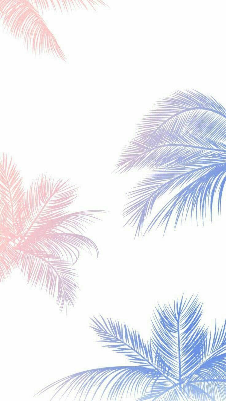 Palm Trees Smuk Telefon Wallpaper