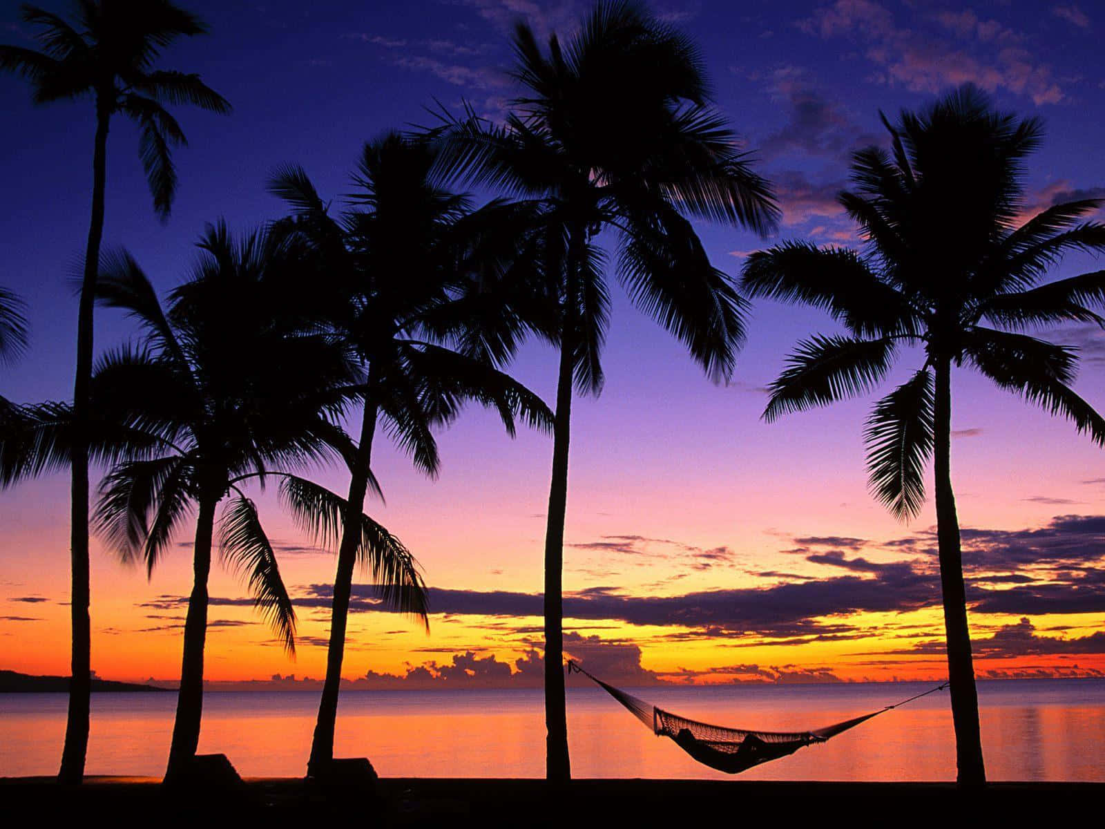 Palm Trees Tropical Beach Sunset View Wallpaper