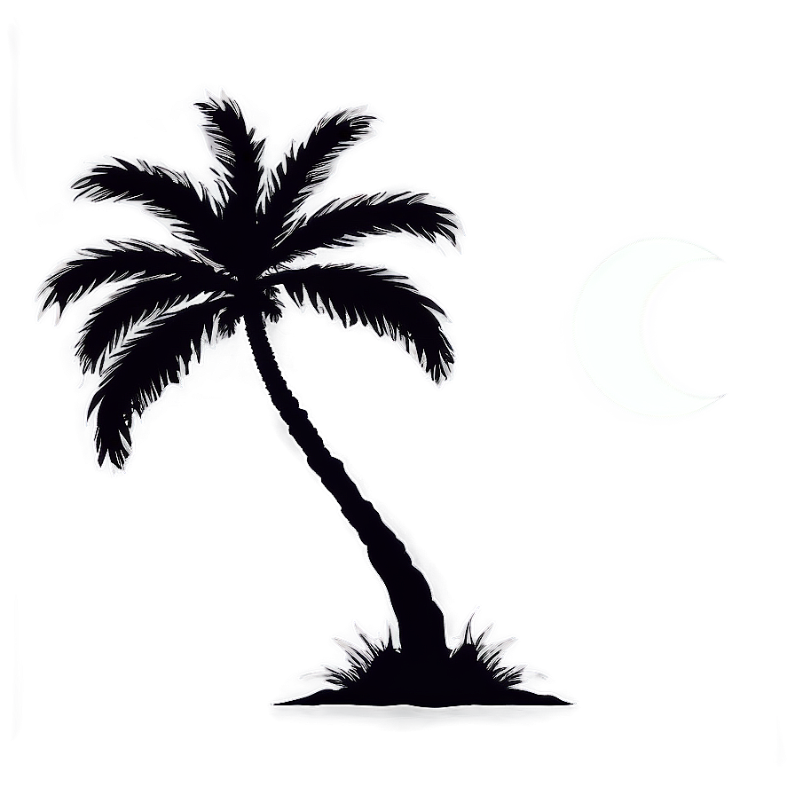 Palm Trees With Moon Png Tus PNG