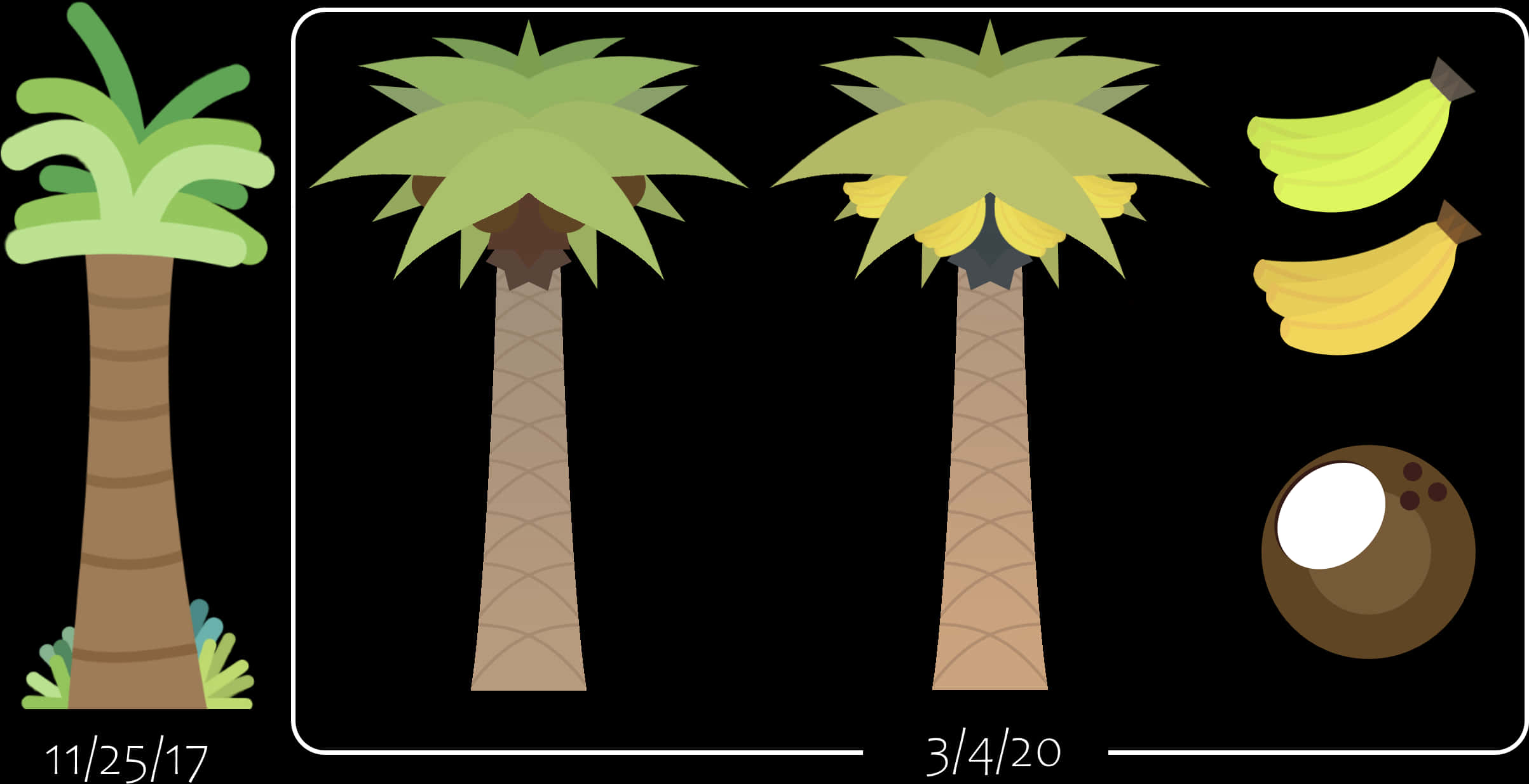 Palm Treesand Products Illustration PNG