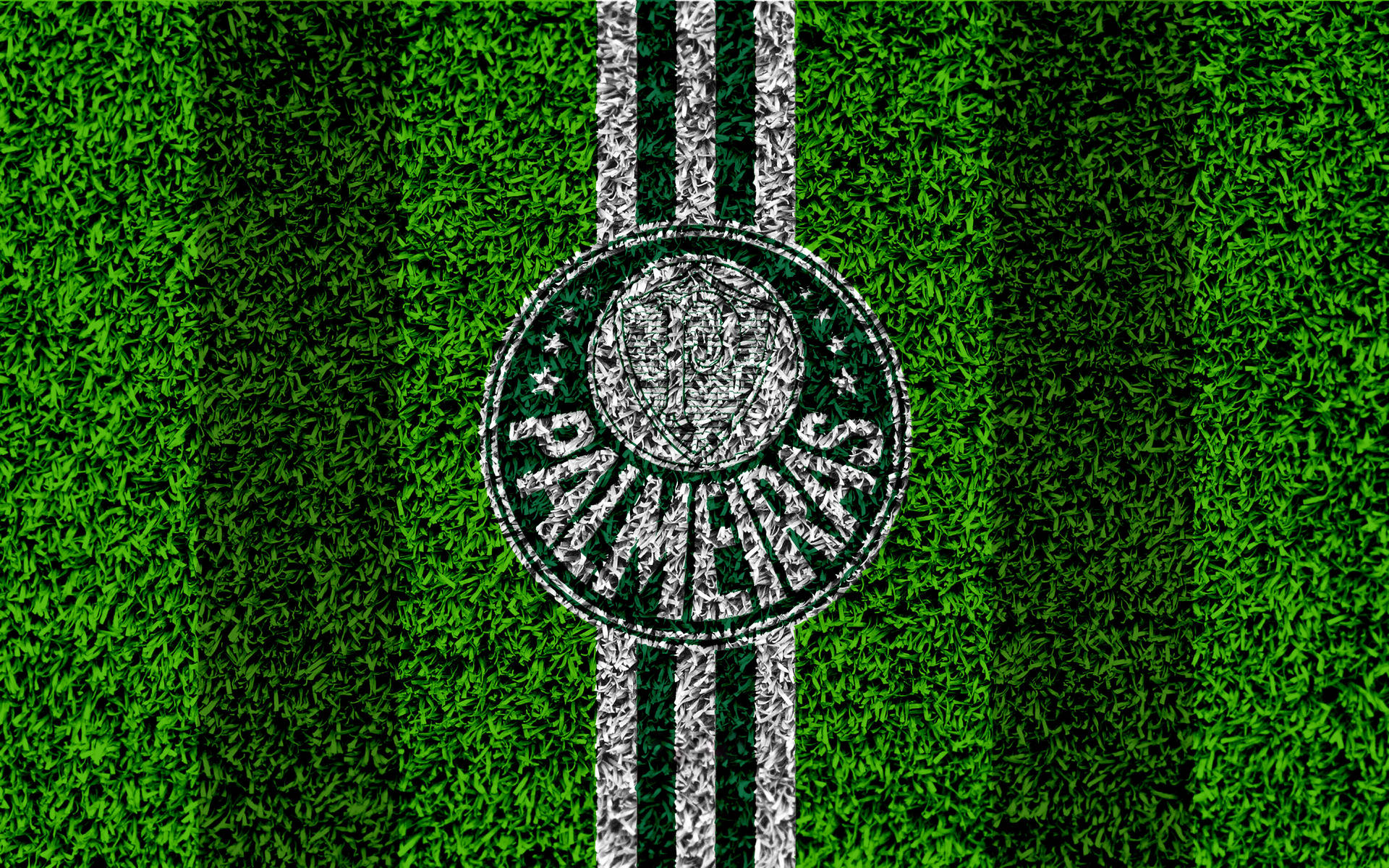 Palmeiras græs tapet dekorere din skærm. Wallpaper