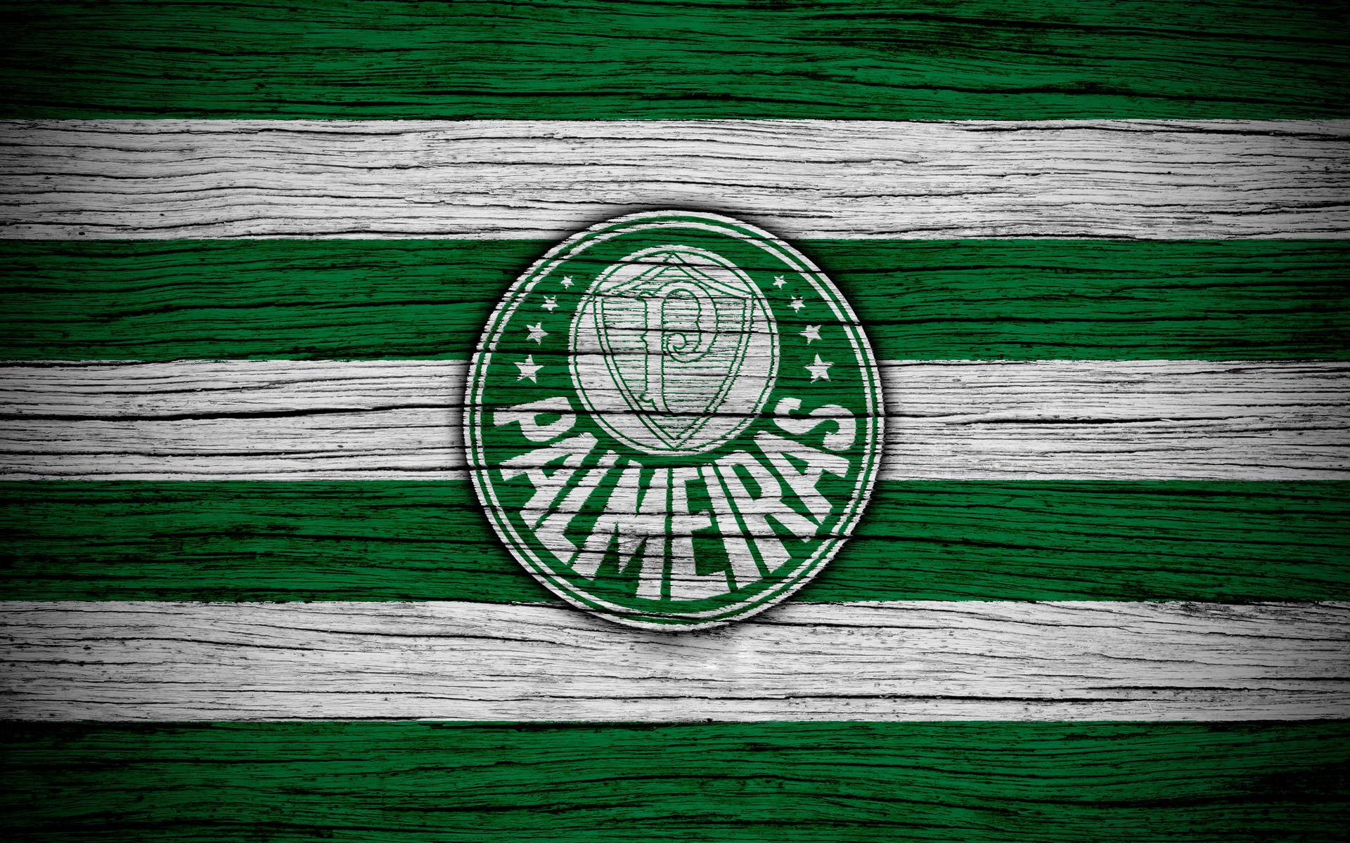 Palmeiras Træ Wallpaper