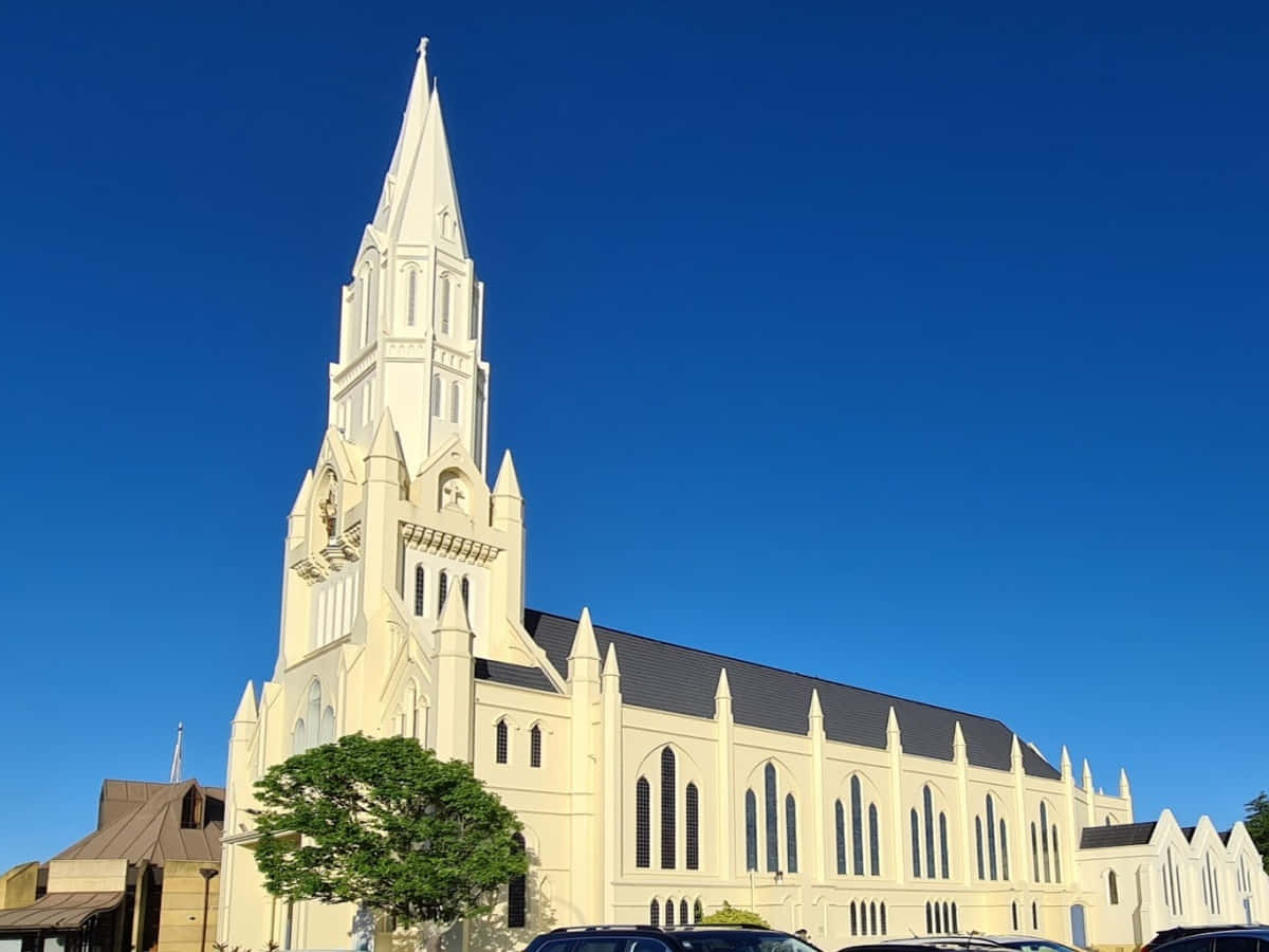Palmerston North Cathedral Architecture Wallpaper