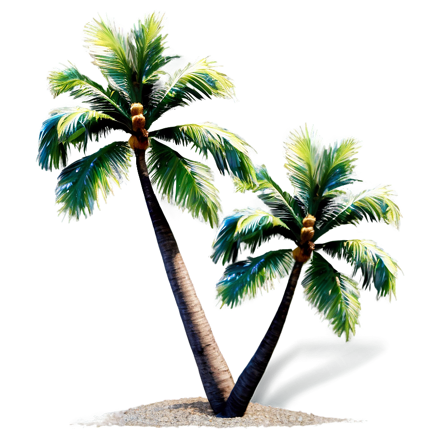 Palms And Ocean Breeze Png Hdj PNG