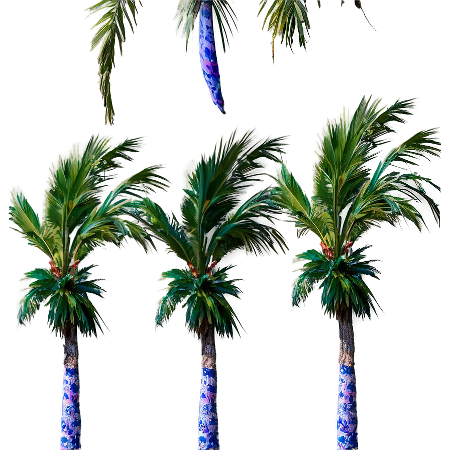 Palms In Windy Weather Png Dyi34 PNG