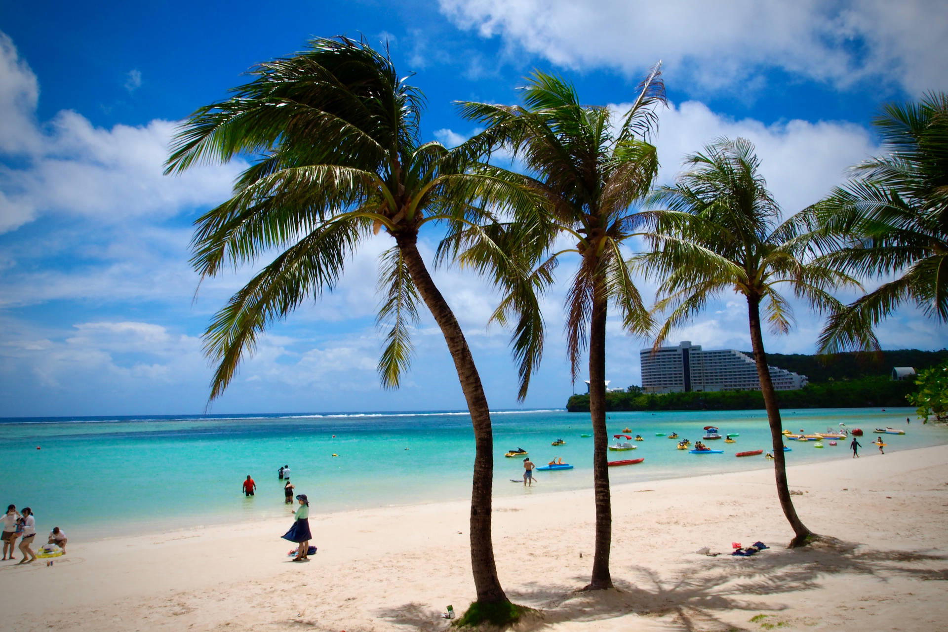 Palmenam Strand Auf Guam Wallpaper