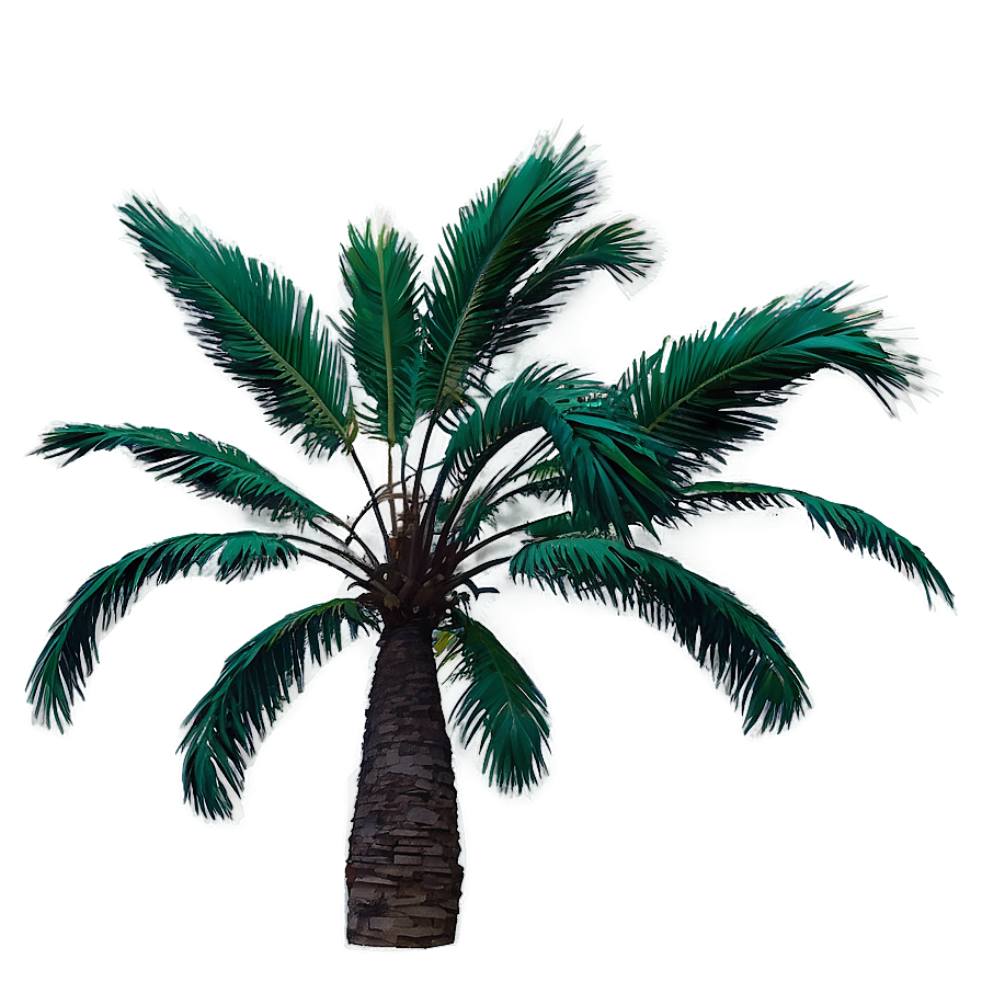 Palms With Birds Png 34 PNG