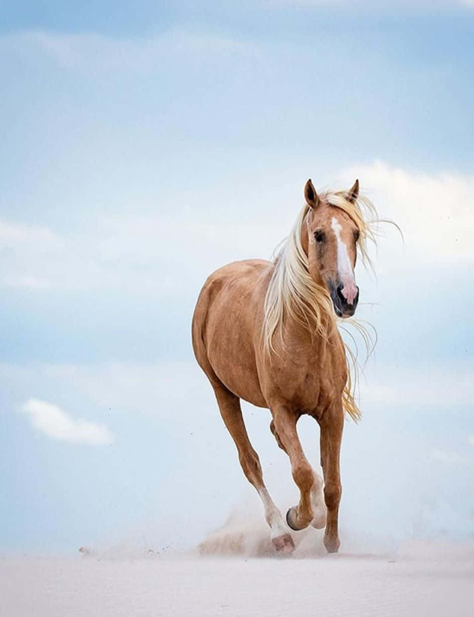 "Beautiful Palomino Horse Against a Stunning Mountain Backdrop"
