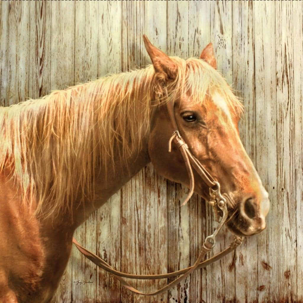 Enbrun Och Vit Palomino-häst Galopperar Över En Gräsbevuxen Äng.