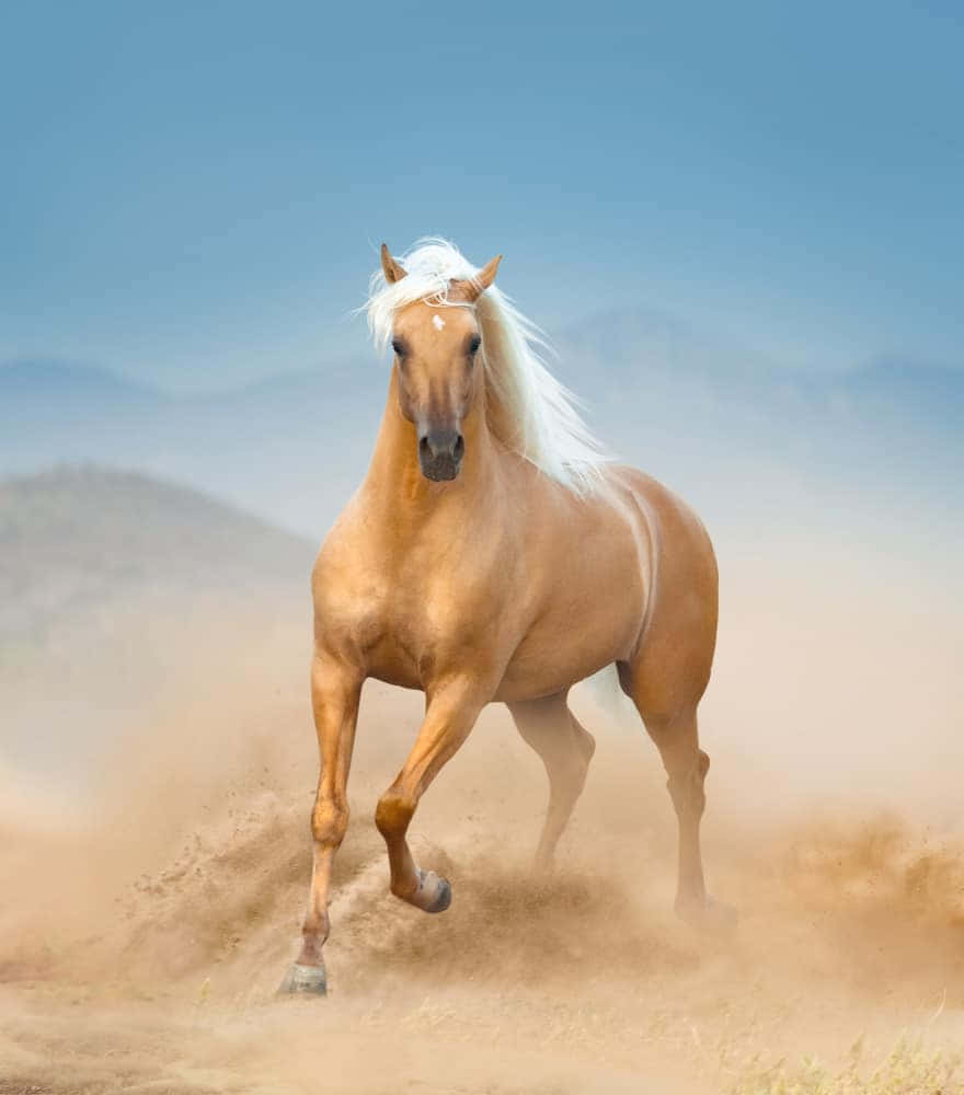Majestic Palomino Horse in Natural Landscape