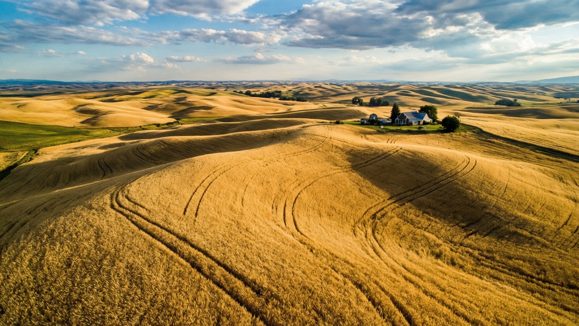 Colinas onduladas de trigo en la región de Palouse