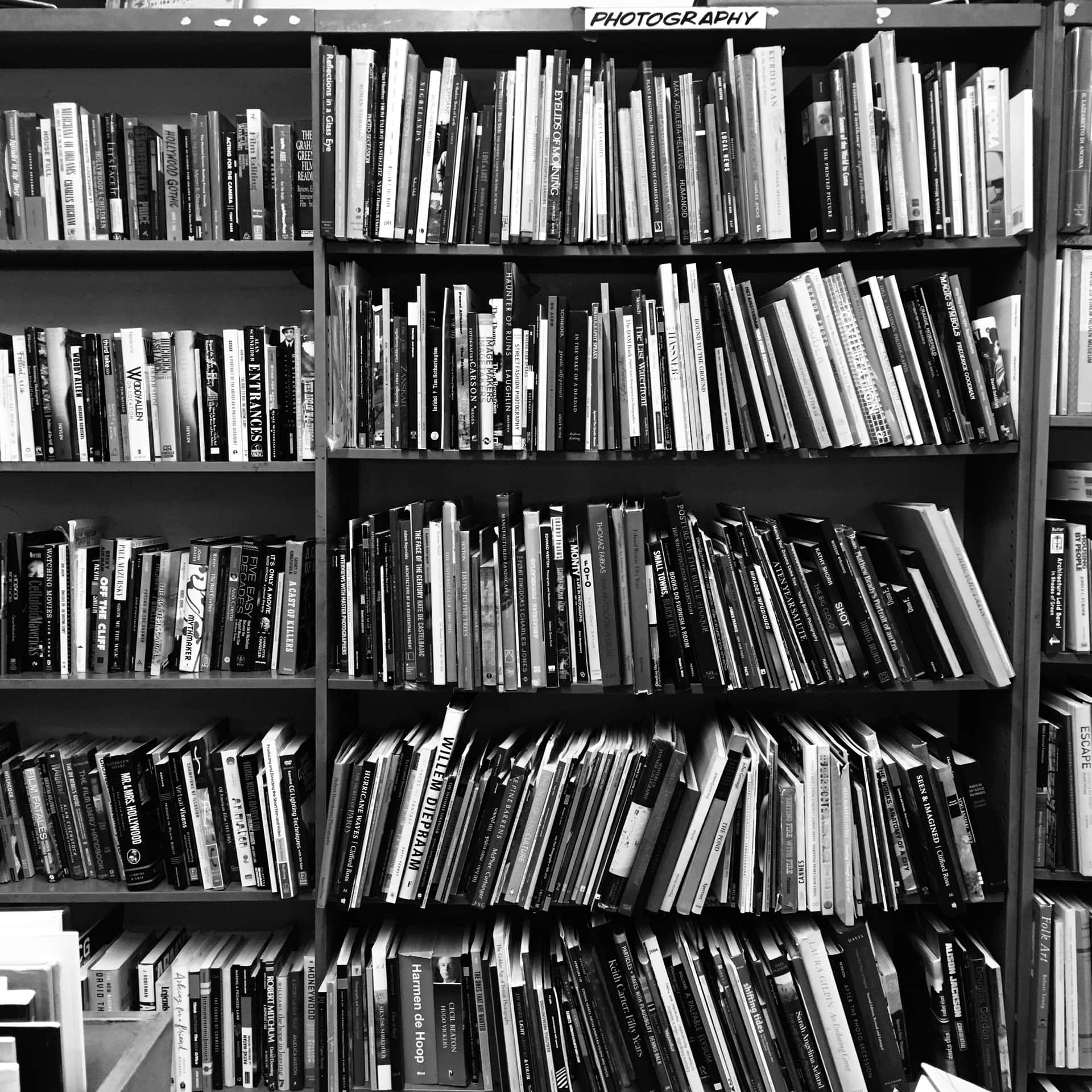 Palpable Books On Shelves Wallpaper