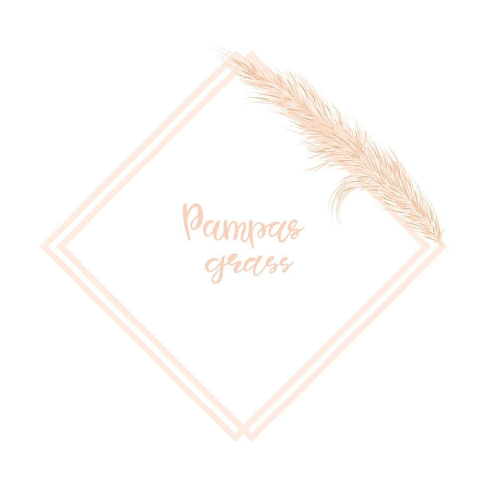 Pink Border Of Pampas Grass Background