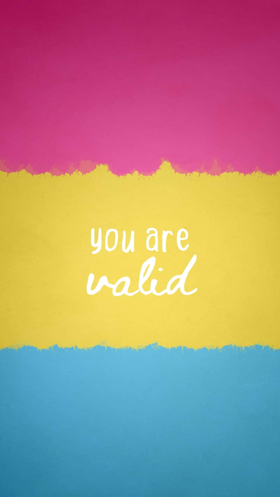 You Are Valid Pan Flag Illustration Wallpaper