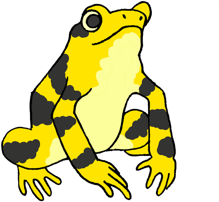 Panamanian Golden Frog Illustration PNG