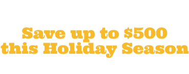 Panasonic Lumix Holiday Sale Promotion2018 PNG