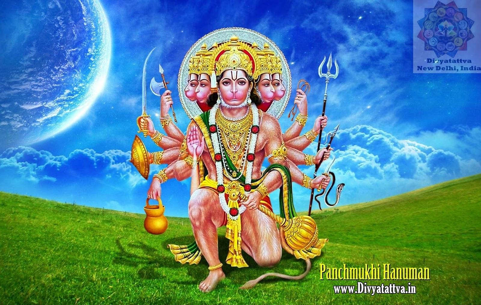 Panchmukhi Hanuman In Grassfield