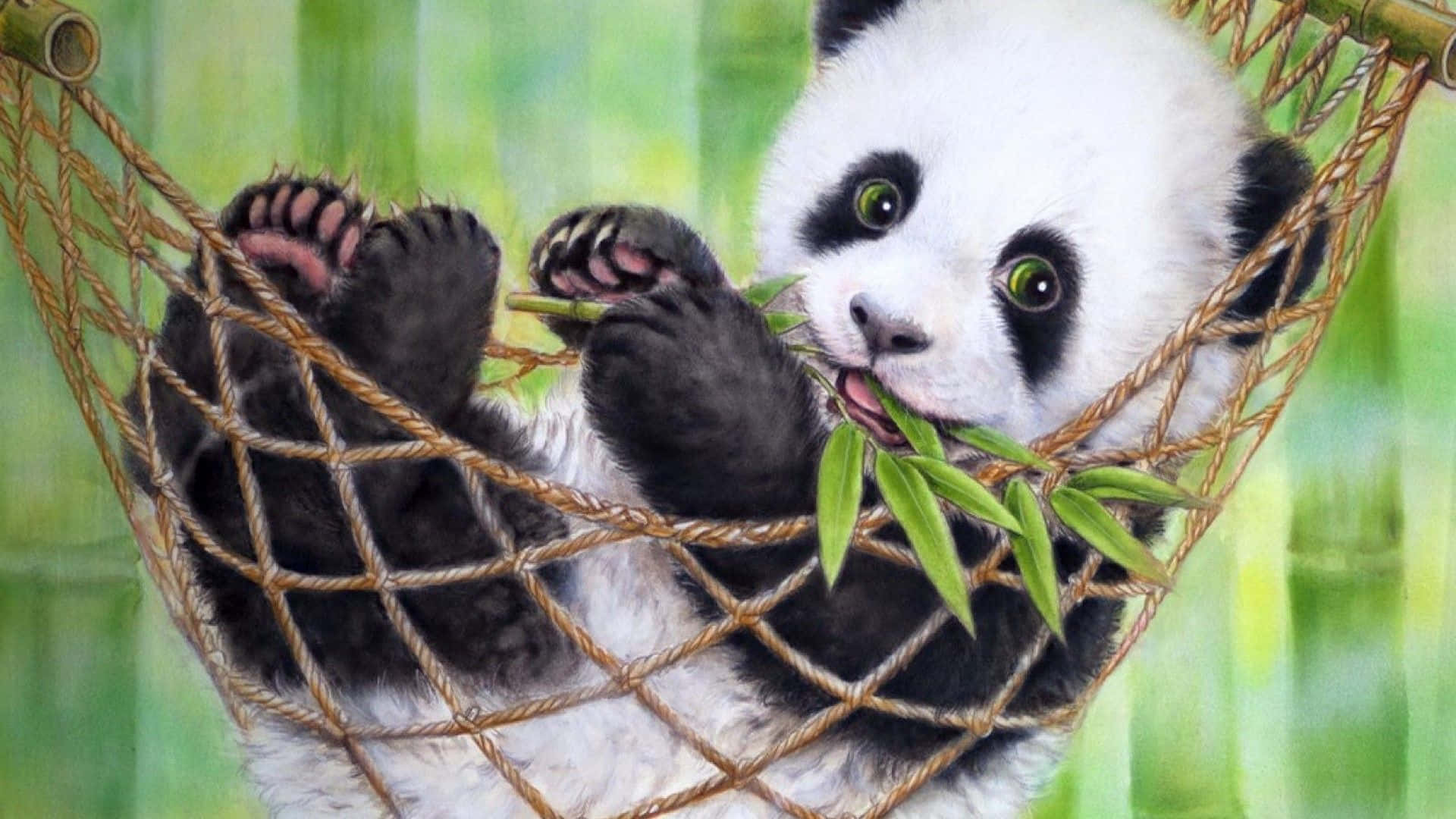 This panda is ready to PLAY!