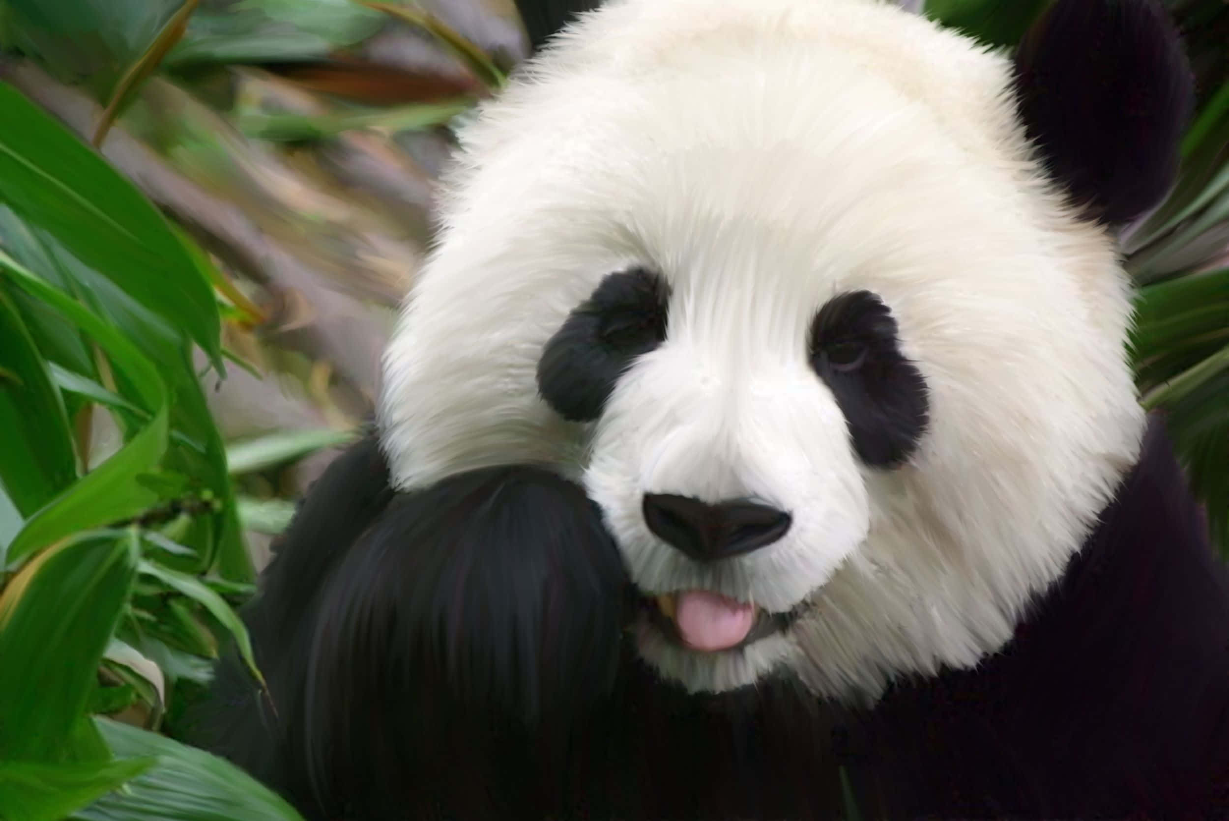 Genießedas Leben An Der Seite Der Natur Mit Diesem Hintergrundbild Eines Giant Pandas.