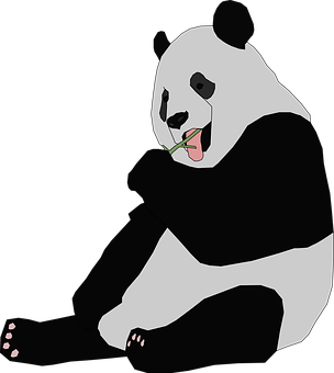 Panda Eating Bamboo PNG