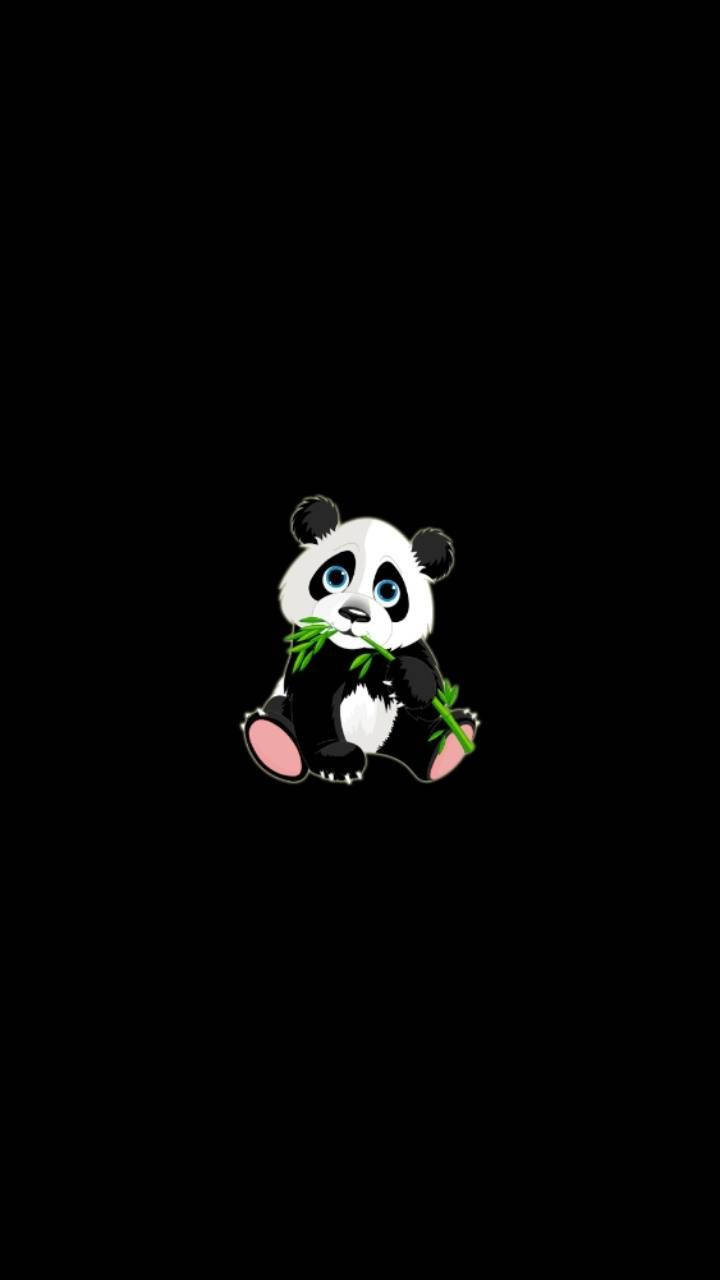 Baixe Papéis de Parede do Estéticade Um Panda Comendo Bambu. |  Wallpapers.com