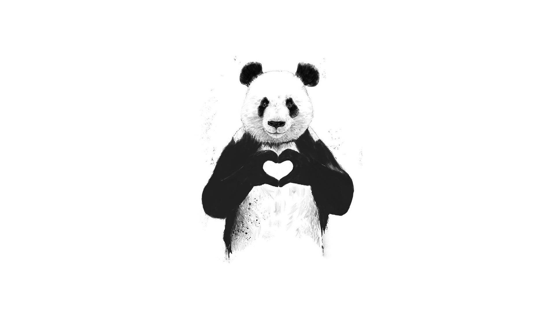 Panda Hand Heart Background