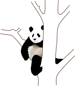 Panda Peeking Behind Tree PNG