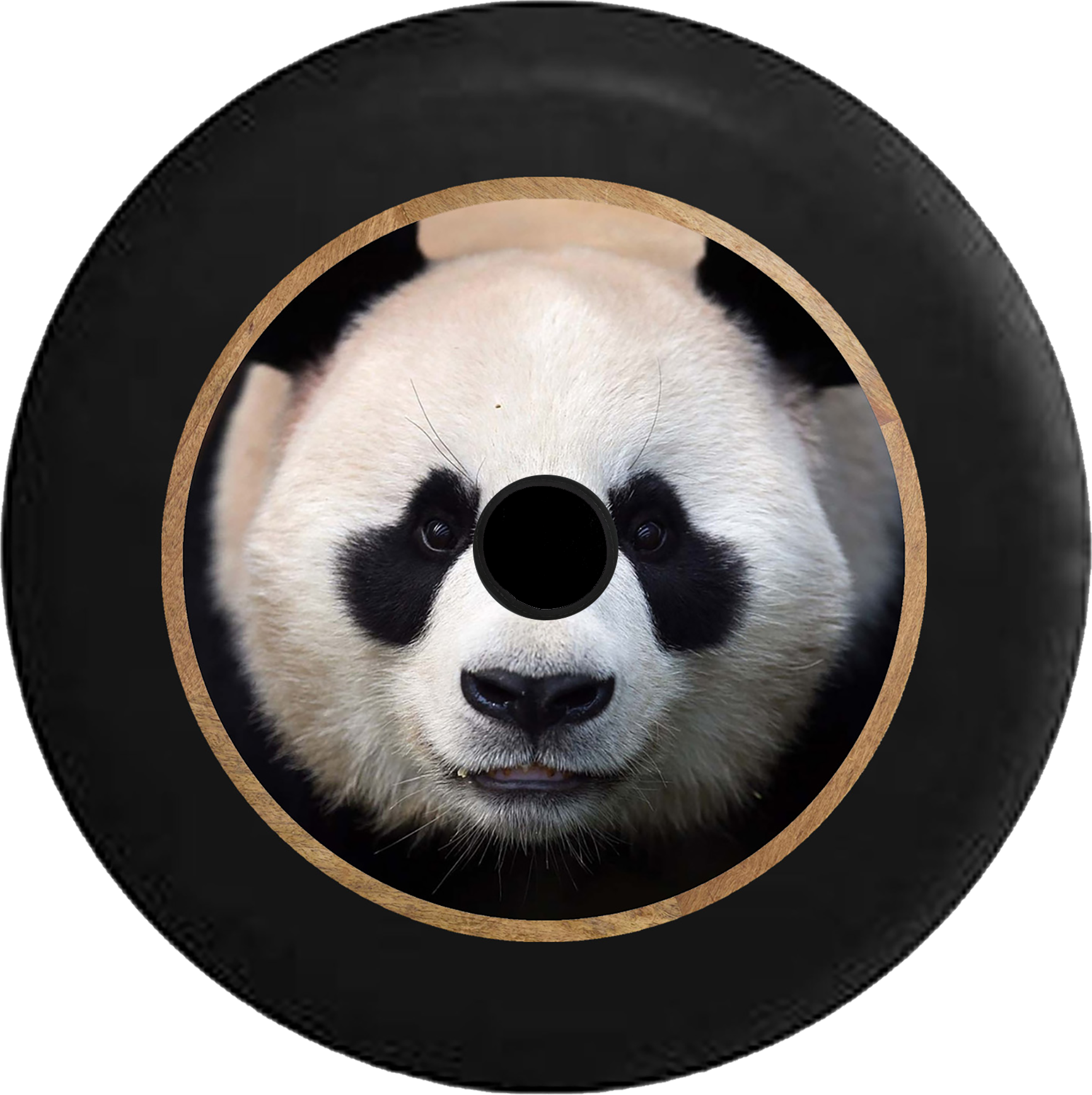 Panda Vinyl Record Art PNG