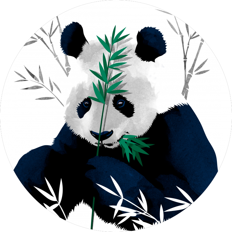 Panda_ Eating_ Bamboo_ Vector_ Art PNG